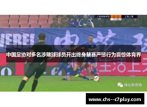 中国足协对多名涉赌球球员开出终身禁赛严惩行为震惊体育界 中国足协对多名涉赌球球员开出终身禁赛严惩行为震惊体育界