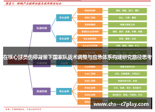 在核心球员伤停背景下国家队战术调整与应急体系构建研究路径思考